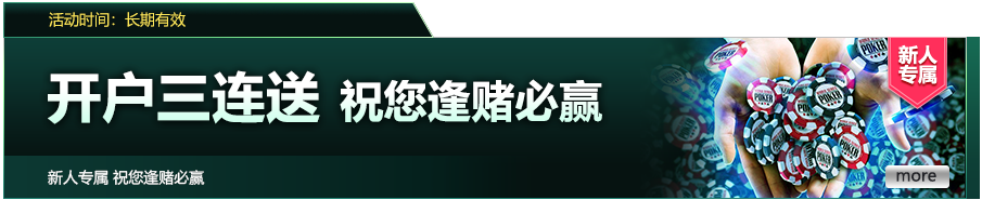 重新定义体验：ng.南宫娱乐官网版本如何成为旗舰新标杆